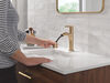 Single Handle Pull-Down Bathroom Faucet