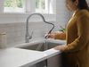 ShieldSpray Pull-Down Kitchen Faucet (Recertified)