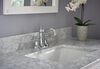 Two Handle Centerset Bathroom Faucet