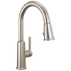 Single Handle Pull-Down Kitchen Faucet