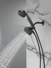 5 Function Combo Pack Shower