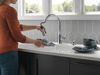 Single Handle Pull-Down Kitchen Faucet with Soap Dispenser and ShieldSpray &reg; Technology (Recertified)