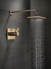 Thermostatic Shower Trim 17T (Recertified)