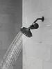 5-Setting Showerhead