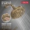 Fixed 5-Setting Showerhead