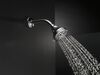 Premium Touch-Clean&reg; 5-Setting Shower Head (Recertified)
