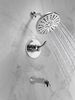 Monitor&reg; 14 Series Tub and Shower