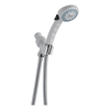 Two-Setting Shower Mount Hand Shower