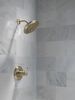 UltraSoak&trade; 4-Setting Shower Head