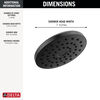 PivotPro&trade; Raincan Shower Head