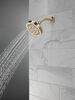 5-Setting Showerhead