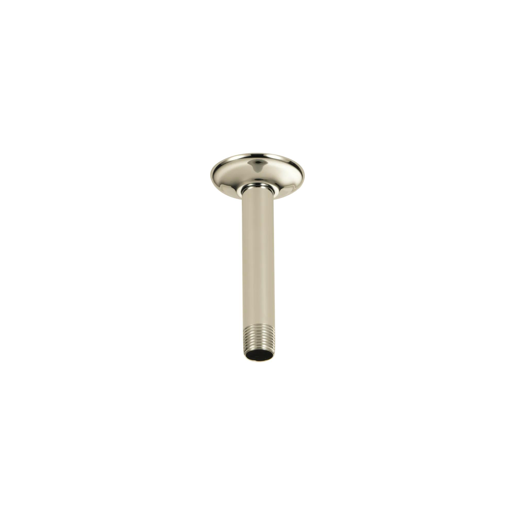Shower Arm & Flange - Ceiling Mount