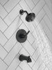 Tub/Shower Rough and Trim 14S (Recertified)