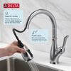 Single Handle Pull-Down Kitchen Faucet with ShieldSpray&reg; Technology
