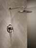 17 Series Shower Trim