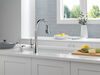 Single Handle Pull-Down Kitchen Faucet with Soap Dispenser and ShieldSpray Technology