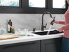 Touch<sub>2</sub>O&reg;  Pull-Down Kitchen w/Soap (Recertified)