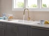 Single Handle Pull-Down Kitchen Faucet with Soap Dispenser and ShieldSpray&reg; Technology