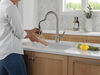 Single Handle Pull-Down Kitchen Faucet with ShieldSpray Technology