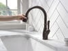 Single Handle Pull-Down Kitchen Faucet with ShieldSpray&reg; Technology