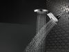 HydroRain&reg; H<sub>2</sub>Okinetic&reg; 5-Setting Two-in-One Shower Head