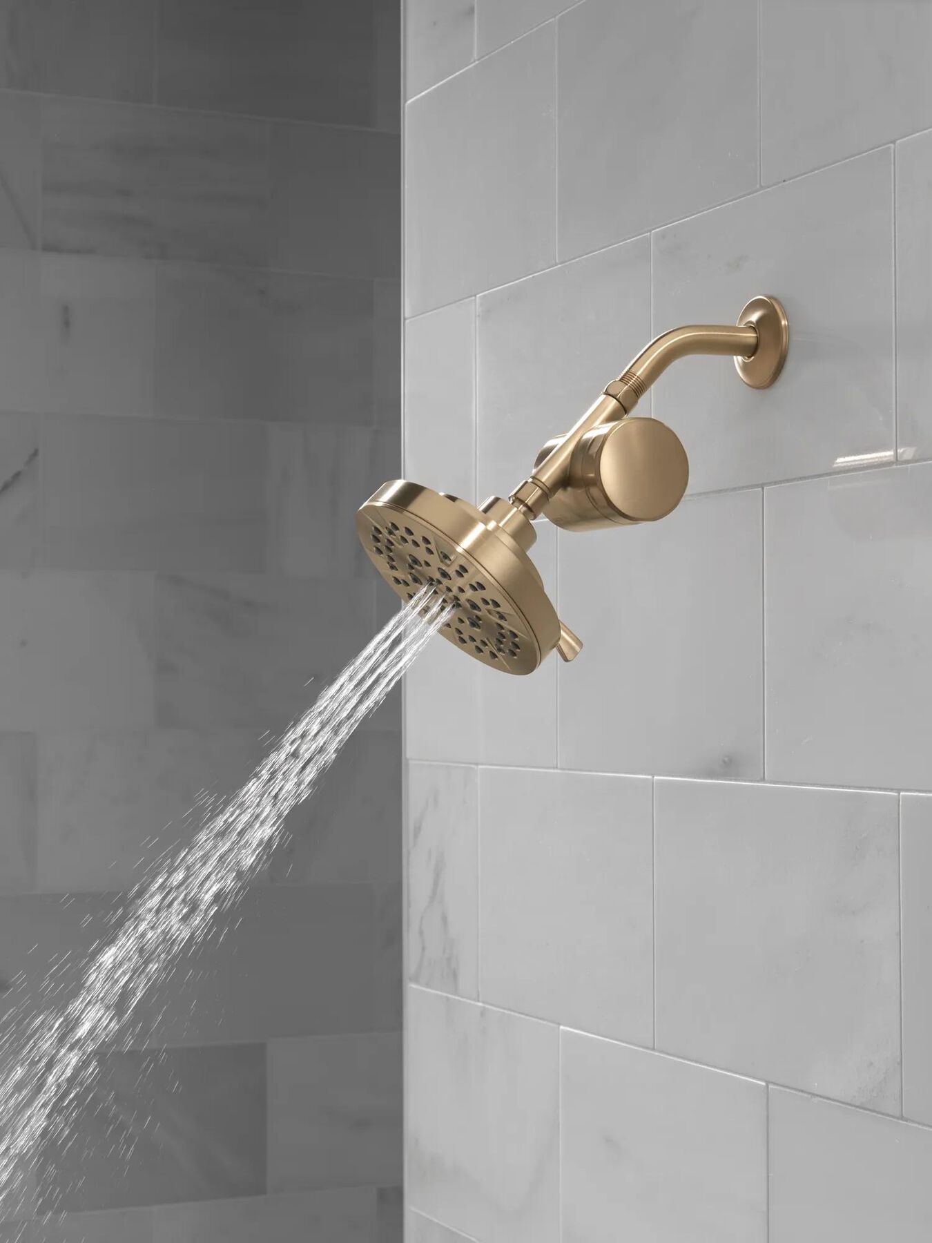 Standard Shower Filter with Shower Head Bundle