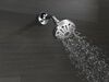 Shower Arm
