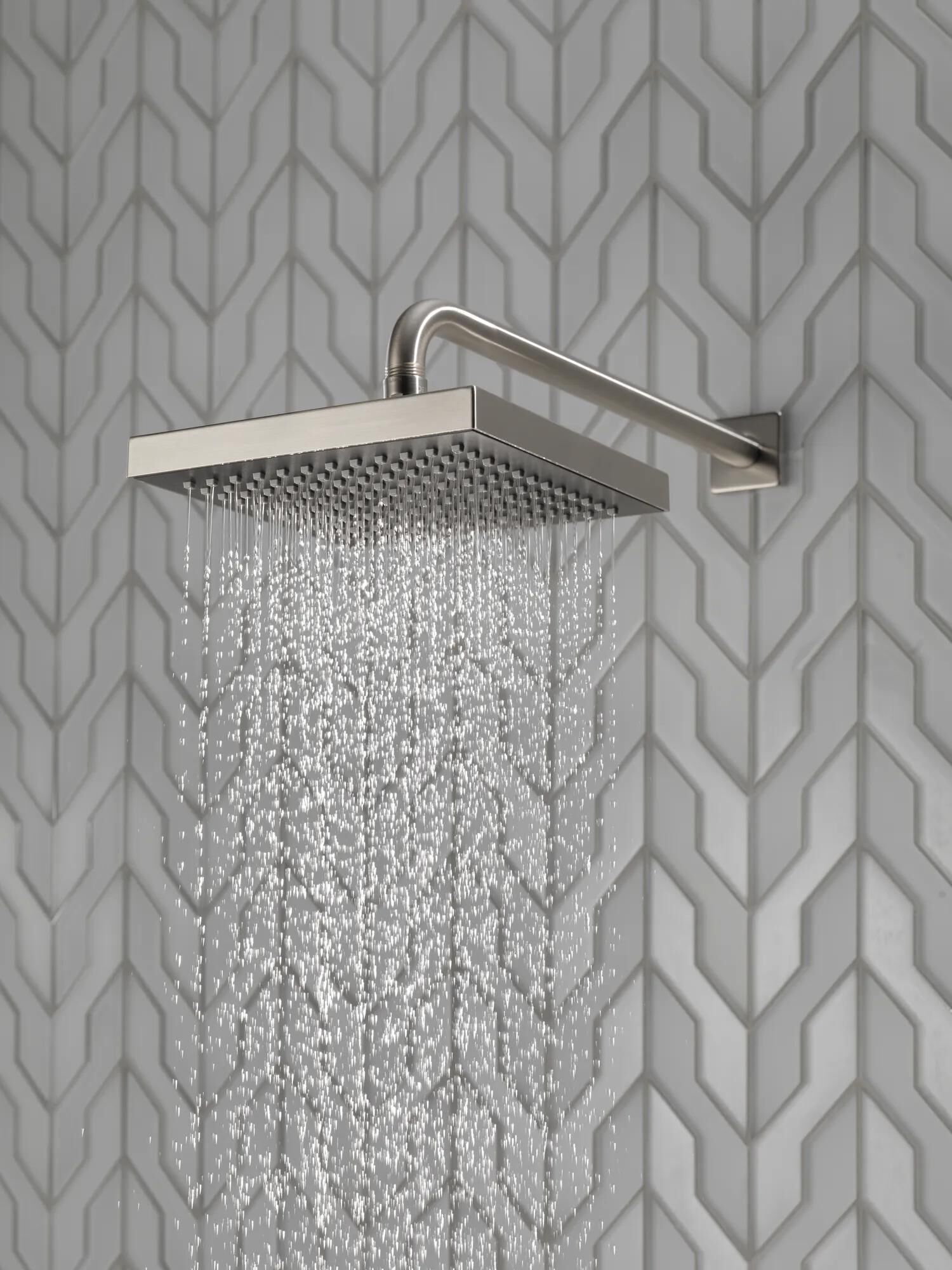 Single-Setting Raincan Shower Head in Stainless 52841-SS | Delta
