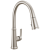Single Handle Kitchen Pull-Down