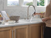 Single Handle Pull-Down Kitchen Faucet with Soap Dispenser and ShieldSpray&reg; Technology (Recertified)