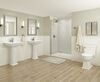 Two Handle Centerset Bathroom Faucet