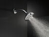 5-Setting Raincan Shower Head