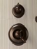 TempAssure&reg; 17T Series Valve Only Trim
