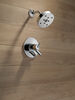Monitor&reg; 17 Series H<sub>2</sub>Okinetic&reg; Shower Trim