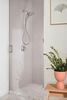 17 Series Shower Trim (Recertified)