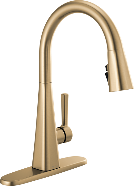 19802Z-CZ-DST_ESCUTCHEON.png?