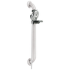 Palm&reg; 4-Setting Slide Bar / Grab Bar Hand Shower