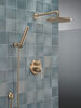 2-Setting Hand Shower with ProClean&trade; Spray &ndash; Wall Mount