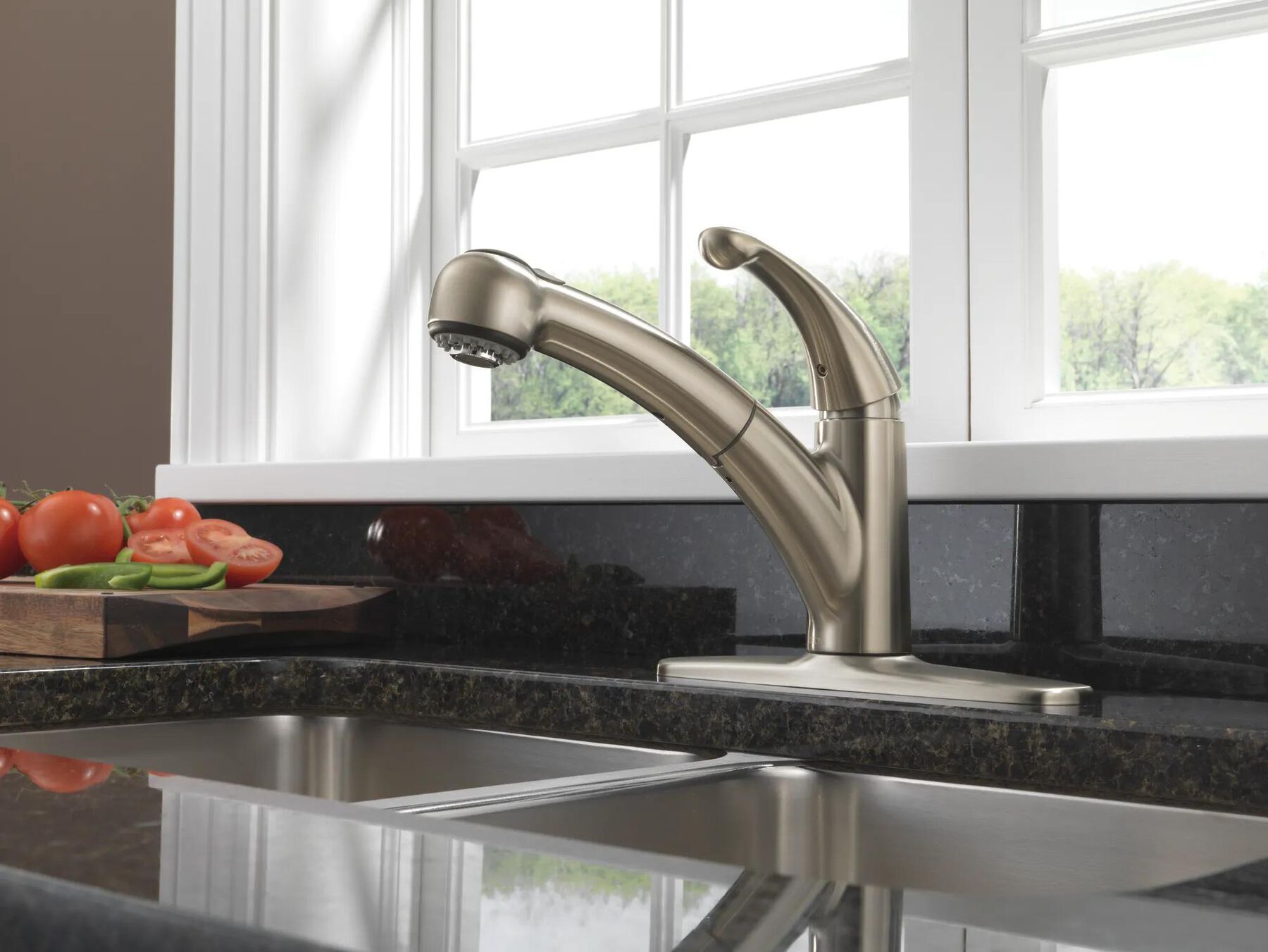 Single Handle Pull-Out Kitchen Faucet
