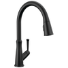 Single Handle Pull-Down Kitchen Faucet