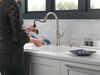 Single Handle Pull-Down Kitchen Faucet with Soap Dispenser and ShieldSpray Technology