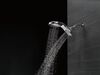 HydroRain 5-Setting Shower Head