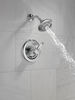 Shower Trim 17S (Recertified)