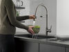 Pull-Down Kitchen Faucet (Recertified)