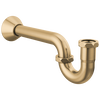 P-Trap
