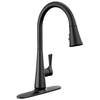 Single Handle Pull-Down Kitchen Faucet with ShieldSpray Technology