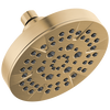 5-Setting Showerhead