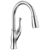 Pull-Down Kitchen Faucet (Recertified)