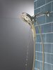 In2ition&reg; H<sub>2</sub>Okinetic&reg; 5-Setting Two-in-One Shower