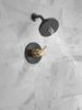Shower Rough & Trim 14S (Recertified)